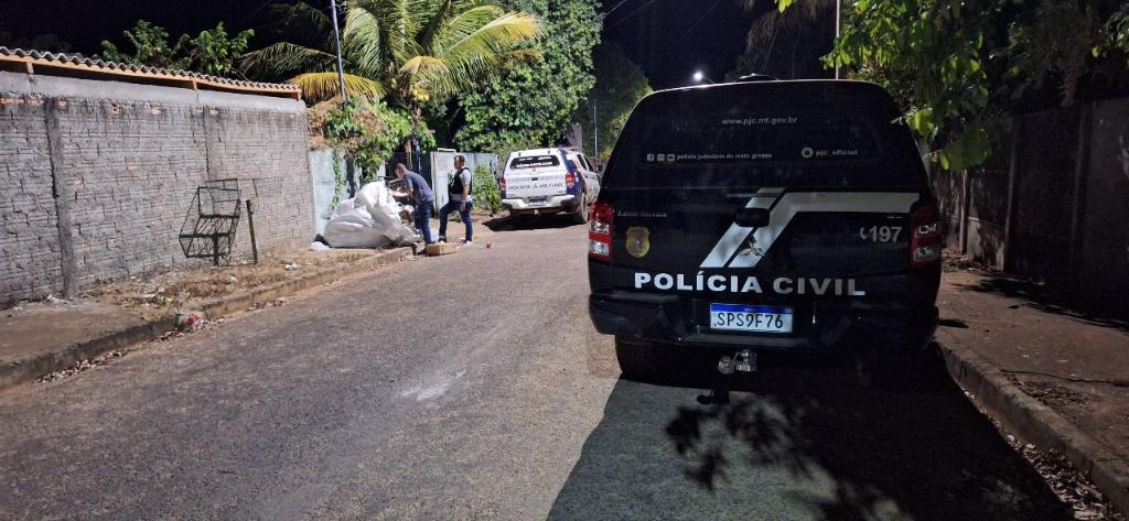 Polícia Civil prende suspeita por furto qualificado em Canarana