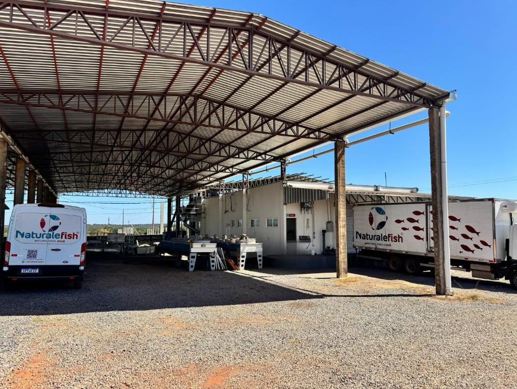 Desenvolve MT impulsiona inovação para melhorar qualidade do pescado em frigorífico