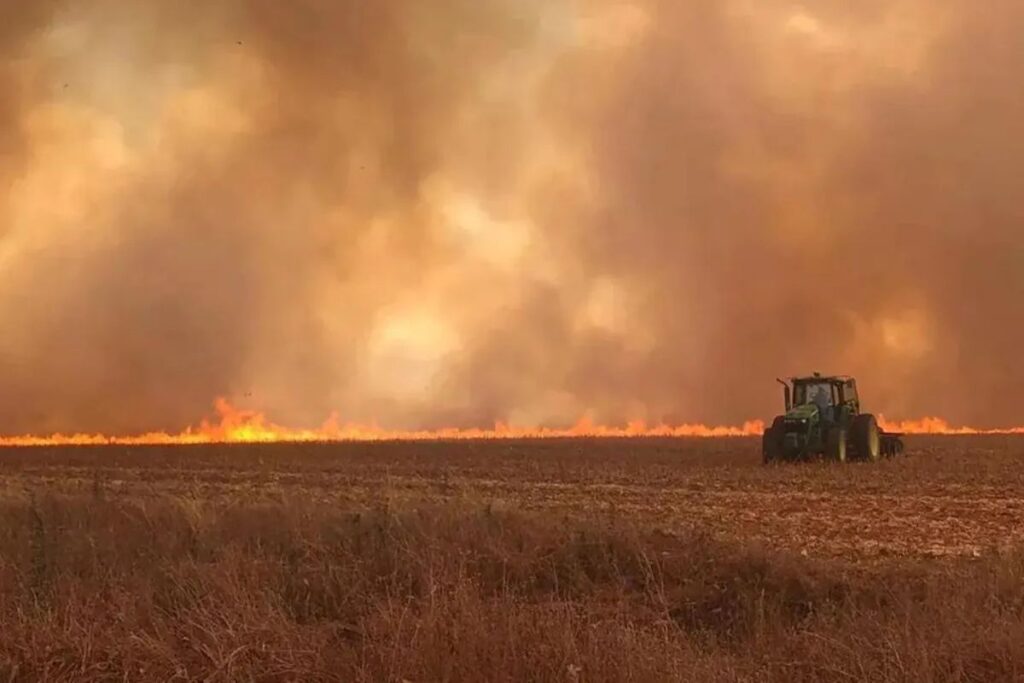 Risco de clima seco e queimadas permanece alto no interior do país