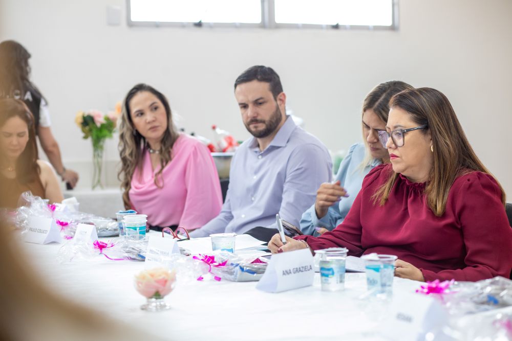 Rede Mulher reúne instituições para fortalecer enfrentamento à violência doméstica