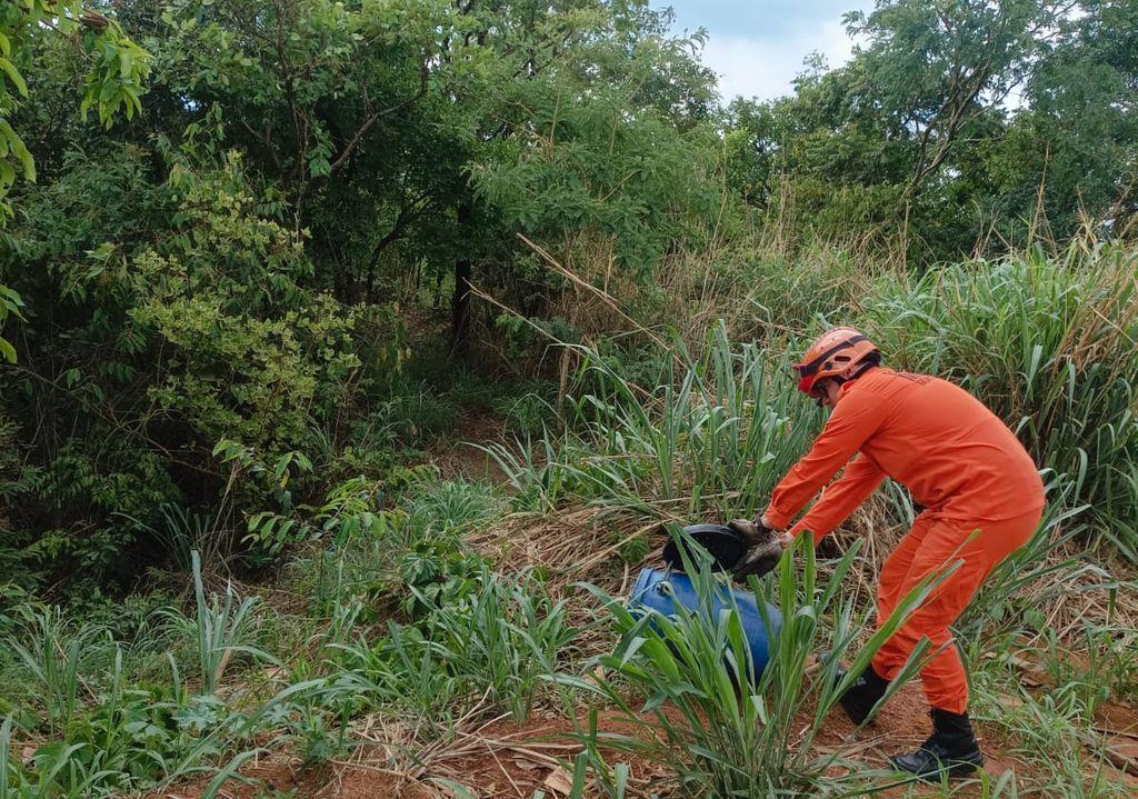 Corpo de Bombeiros é acionado para resgatar cobra caninana que entrou em residência