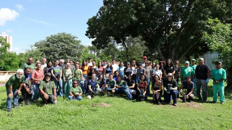 Verde Novo e parceiros promovem recuperação de mata em afluente do Córrego do Barbado dentro da UFMT