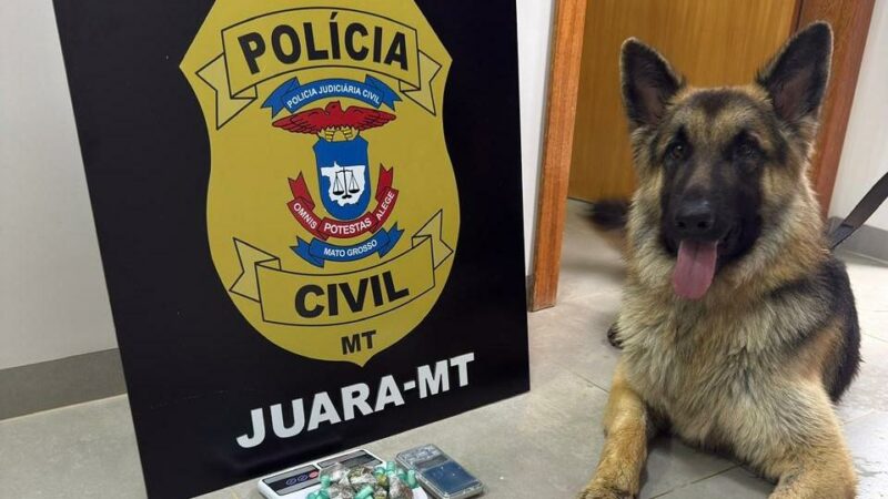 Polícia Civil prende dois homens por tráfico de drogas em Juara