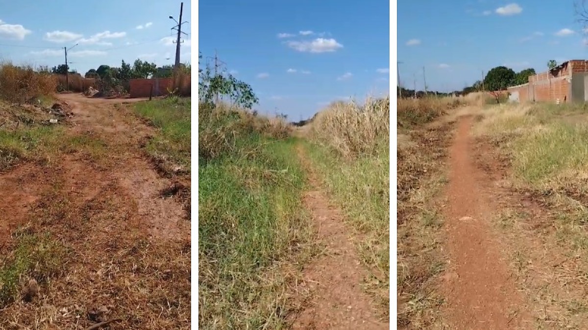 Vegetação invasora bloqueia vias no Jardim Ouro Verde